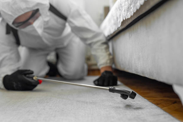 Professional Bed Bug Control technician working in Lowes Island, VA