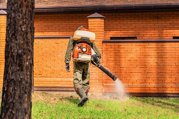 Trusted Bed Bug Control service in Lowes Island, VA - Nex Pest Control